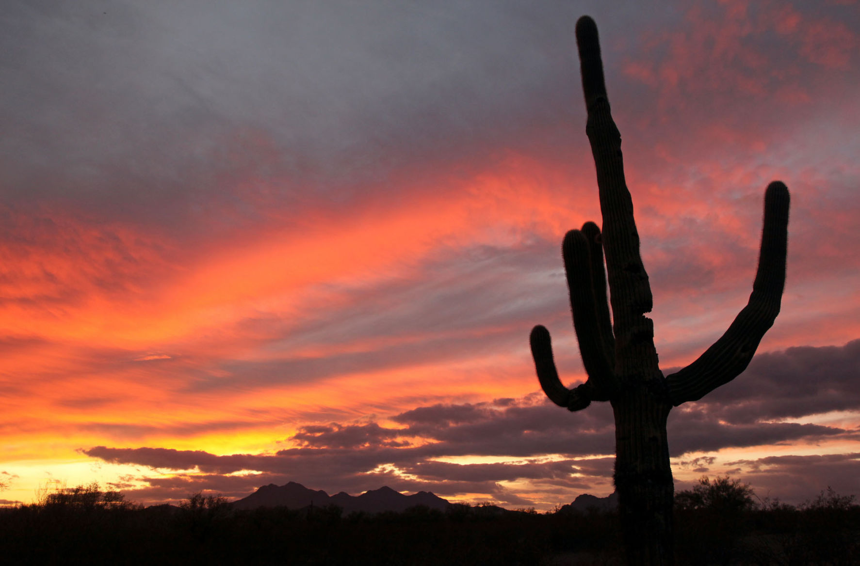 Trump National Monuments